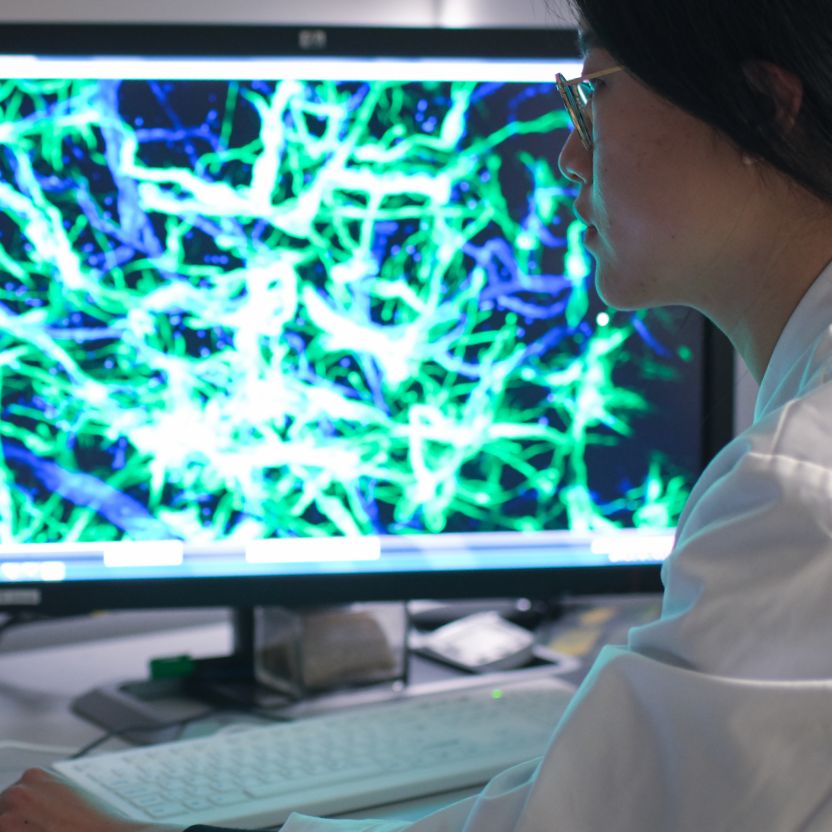Eine Person in Laborkleidung blickt auf einen Monitor, der leuchtende Strukturen in Blau- und Grüntönen zeigt.