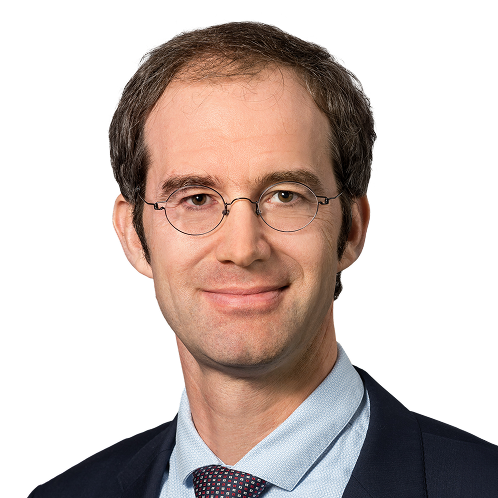 Portrait von Prof. Dr. Hans-Christoph Friederich, Studiendekan